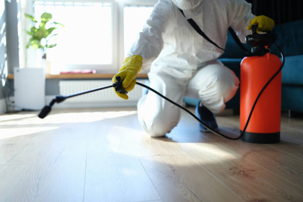 Trusted Unattended Death Cleanup service in Kyle, TX - Four Month Blood Cleanse
